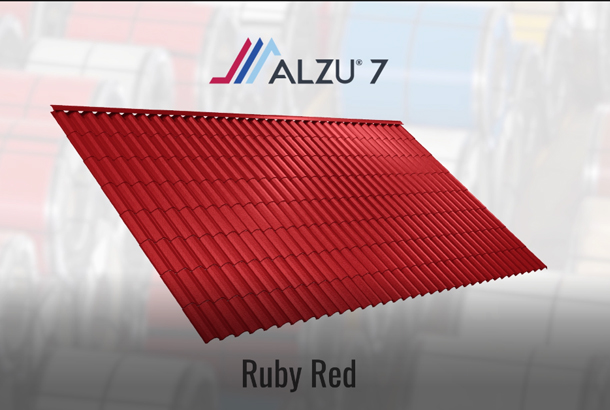 alzu-cover